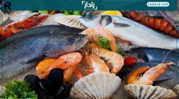 62 جنيهاً غير مسبوق.. تعرف على أحدث أسعار البلطي والأسماك والجمبري في 15 نوفمبر 2025